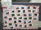 三浦海岸の花カレンダー展を開催しています！