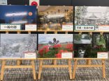 「川崎市観光写真コンクール」写真展を開催しています！