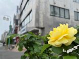 BMK合同駅前清掃に参加しました！