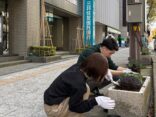 花の植え替えボランティアに参加しました！