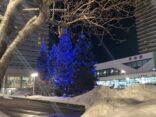 「JR琴似駅前広場イルミネーション」に協賛しました！